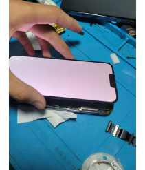 ip1
